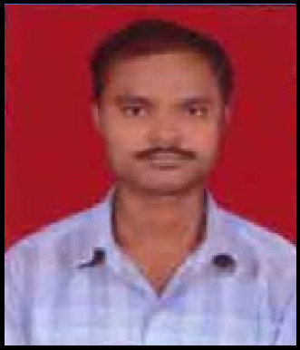 Pravin L. Ambuskar
